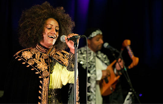 Krar Collective: Exclusive FREE Download - World Music Network
