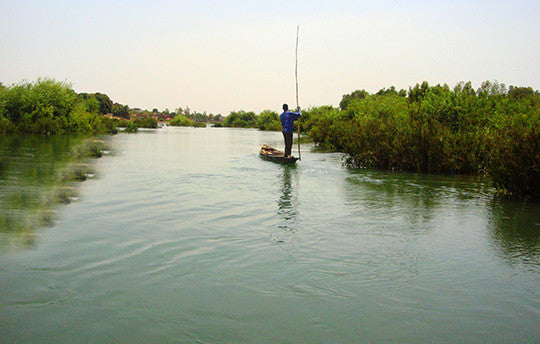 Lost in Mali: Off The Beaten Track from Bamako to Timbuktu - World Music Network