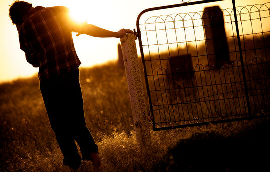 New Release: The Rough Guide To Americana - World Music Network