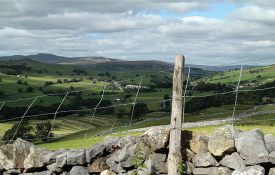 25th January: Celebrate Burn's Night