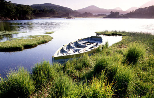 The Music Of Ireland - World Music Network