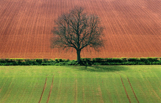 The Folk Music Of England: Roots And Revival - World Music Network