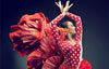 New Rough Guides: Mediterranean & Flamenco