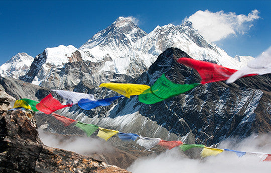 Music Without Frontiers: A New Rough Guide In Association With UNPO