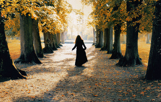 Great Value Subscriptions For USA Customers: Two Rough Guide CDs for $9.98* per month