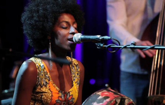 Zimbabwe: Mbira, Sungura and Chimurenga: Play It Loud! - World Music Network