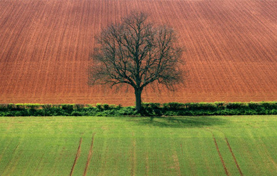 World Music Network: A Reflection On 2011