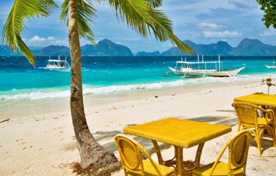 Out Now: Reflections of Palestine & The Rough Guide To Caribbean Café