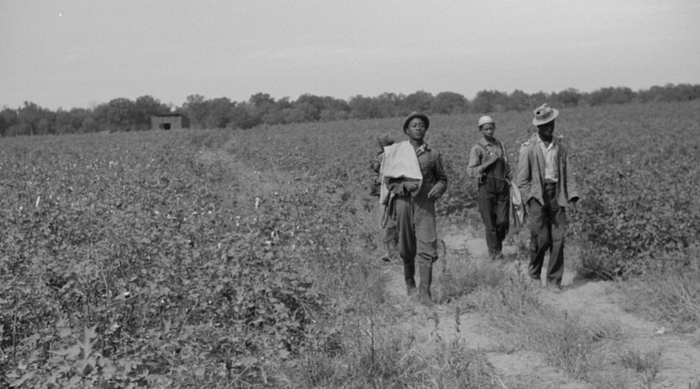 The Birth of the Blues